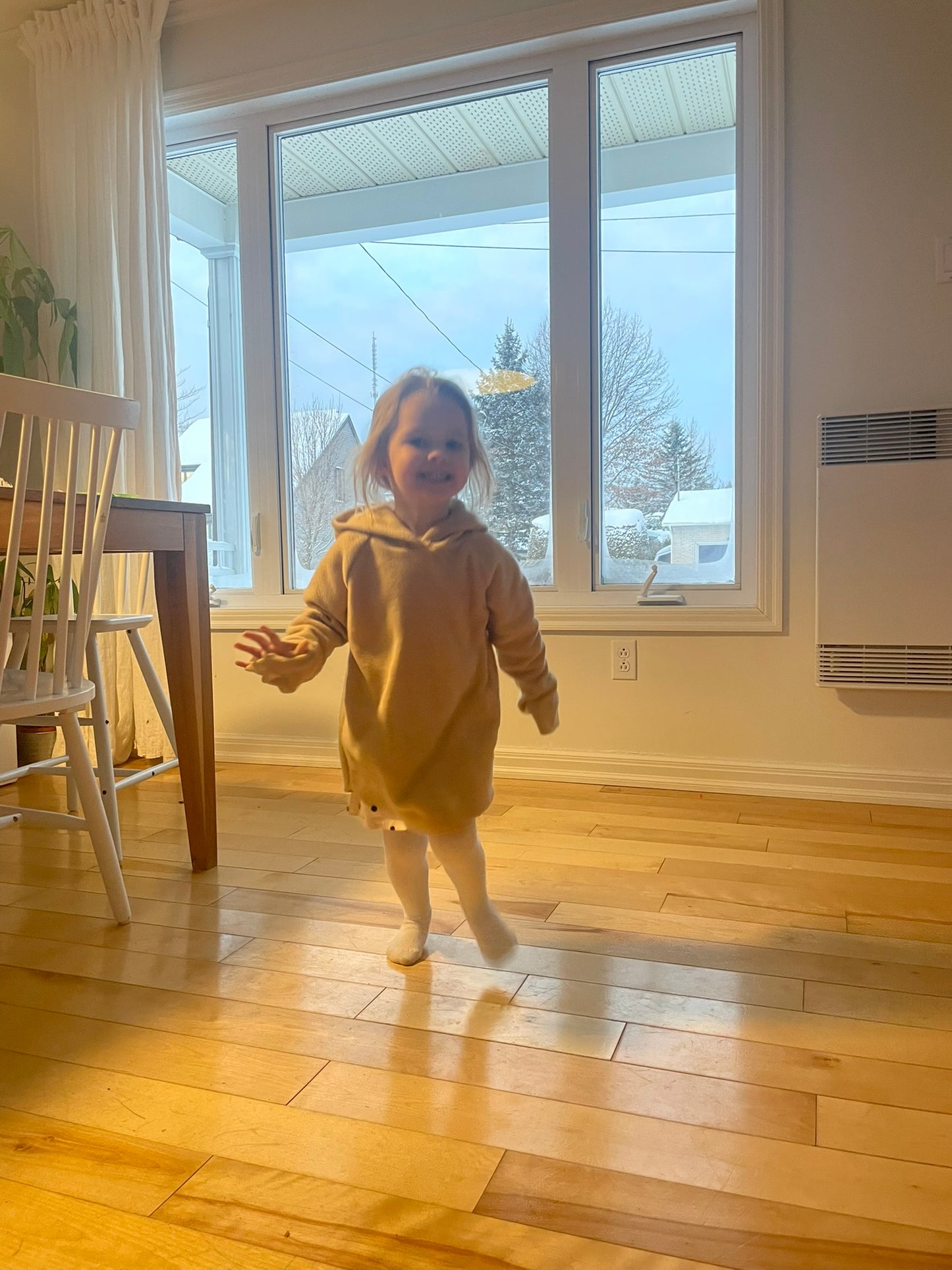 Mini Polar Dino | JusteCela | Fabriqué au Québec